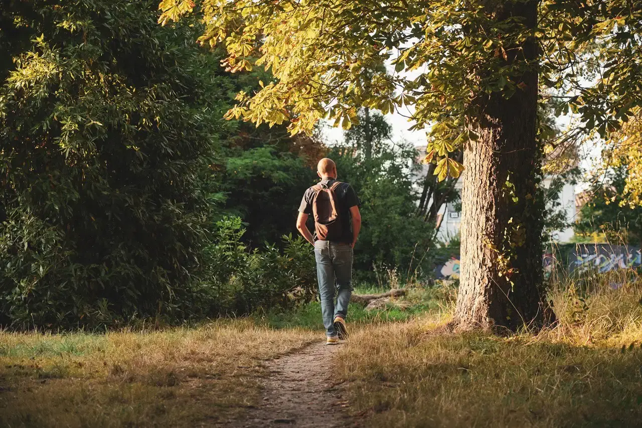 Personne se promenant dans la nature lors d'une balade artistique